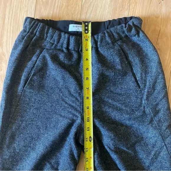 Aritzia Babaton Dexter Wool Pant - Picture 8 of 14